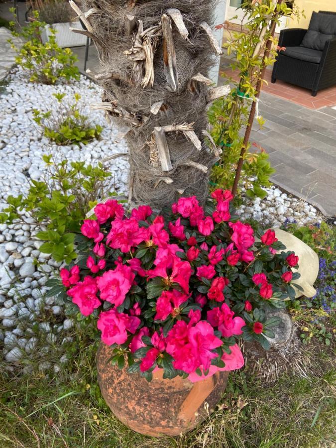 Villa Gaia มัลเชซิเน ภายนอก รูปภาพ